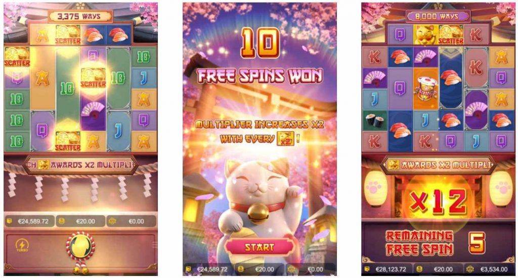 How to Play Lucky Neko